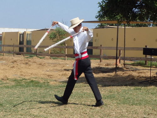 Peruvian Step Horse Show.